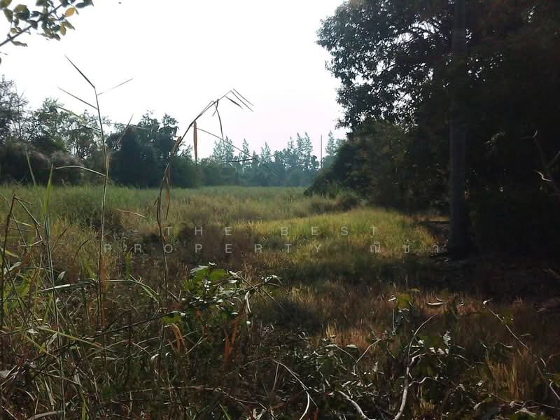 ที่ดินพรหมพิราม พิษณุโลก, Phitsanulok, Tha Chang, Phrom Phiram, Phitsanulok, , 8,891 sqm, Land For Sale, by The Best Property ณิชา, 500407885 - DDproperty.com