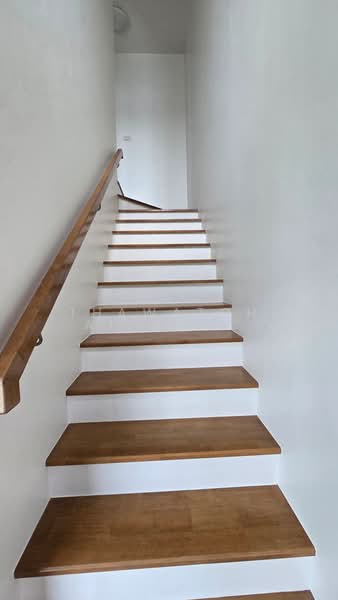 Town Avenue Cocos Rama 2 Soi 50, Bangkok, Soi 50 Rama 2 Road, Samae Dam, Bang Khun Thian, Bangkok, 4 Bedrooms, 170 sqm, Townhouse For Rent, by Thawatchai Methawongworakul, 500407899 - DDproperty.com