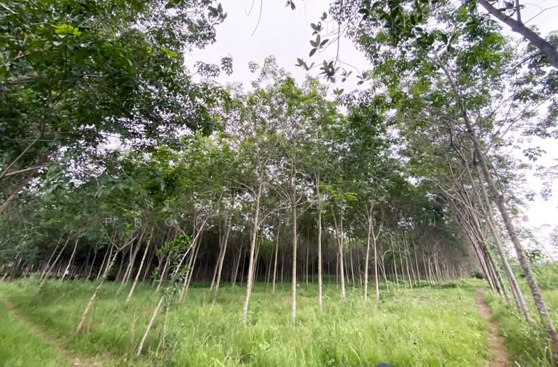 ที่ดินบ้านค่าย ระยอง, ระยอง, หนองตะพาน, บ้านค่าย, ระยอง, 10,333 ตร.ม., ที่ดิน ขาย, โดย The Best Property อ้อม, 500408123 - DDproperty.com