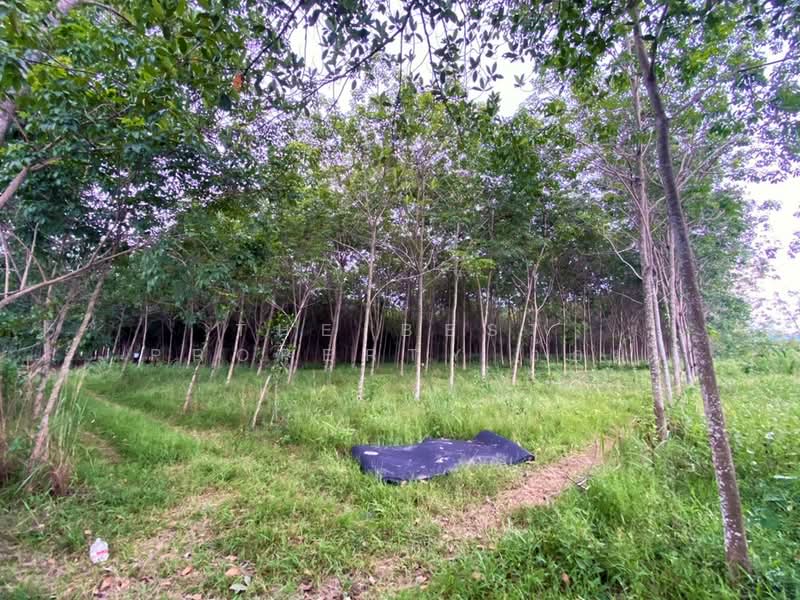 ที่ดินบ้านค่าย ระยอง, ระยอง, หนองตะพาน, บ้านค่าย, ระยอง, 10,333 ตร.ม., ที่ดิน ขาย, โดย The Best Property อ้อม, 500408123 - DDproperty.com