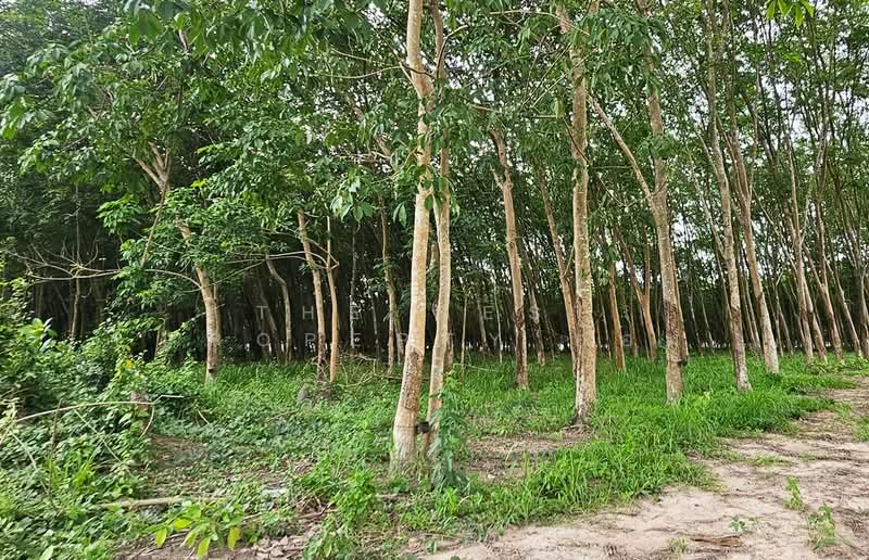 ที่ดินบ้านค่าย ระยอง, ระยอง, หนองตะพาน, บ้านค่าย, ระยอง, 10,333 ตร.ม., ที่ดิน ขาย, โดย The Best Property อ้อม, 500408123 - DDproperty.com