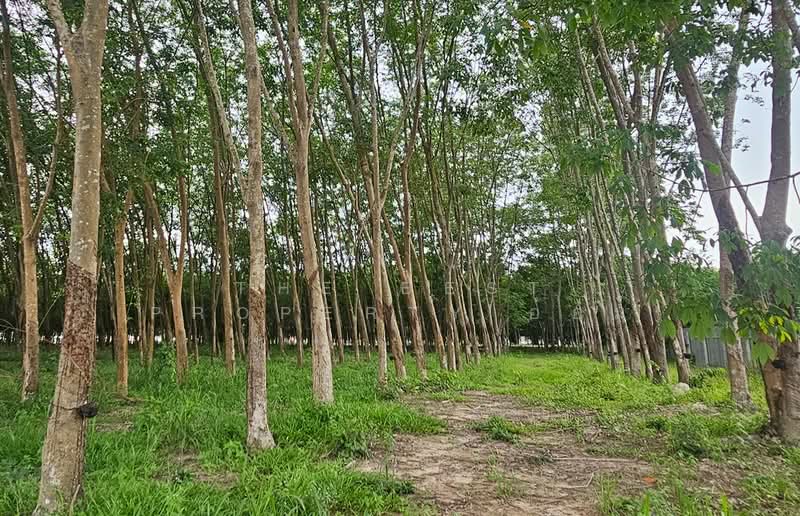 ที่ดินบ้านค่าย ระยอง, ระยอง, หนองตะพาน, บ้านค่าย, ระยอง, 10,333 ตร.ม., ที่ดิน ขาย, โดย The Best Property อ้อม, 500408123 - DDproperty.com