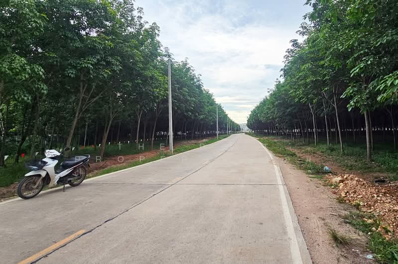 ที่ดินบ้านค่าย ระยอง, Rayong, Nong Taphan, Ban Khai, Rayong, , 10,333 sqm, Land For Sale, by The Best Property อ้อม, 500408123 - DDproperty.com