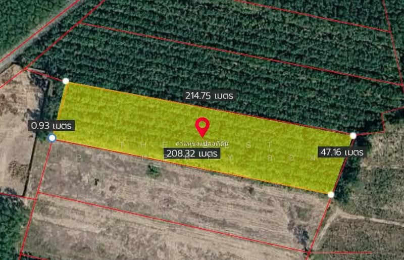 ที่ดินบ้านค่าย ระยอง, Rayong, Nong Taphan, Ban Khai, Rayong, , 10,333 sqm, Land For Sale, by The Best Property อ้อม, 500408123 - DDproperty.com
