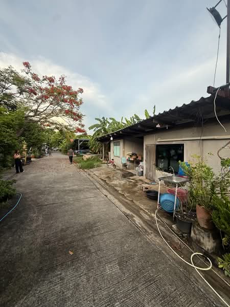 นาคนิวาส, กรุงเทพ, ลาดพร้าว, กรุงเทพ, 1,216 ตร.ม., ที่ดิน ให้เช่า, โดย ภัทร์ศรัณย์ กายบริบูรณ์, 500408191 - DDproperty.com