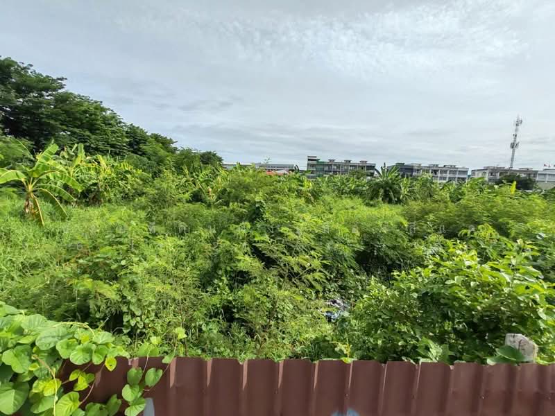 ขายที่ดินผังเมืองสีแดง 6 ไร่ 24 ตร.ว ติดถนน 2 ด้าน, นนทบุรี, เทศบาล 9, โสนลอย, บางบัวทอง, นนทบุรี, 9,696 ตร.ม., ที่ดิน ขาย, โดย คุณธงชัย, 500408241 - DDproperty.com