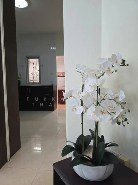 Baan Chalita 2, Chon Buri (Pattaya), Nong Pla Lai Road, Nong Pla Lai, Bang Lamung (Pattaya), Chon Buri (Pattaya), 3 Bedrooms, 244 sqm, Single Detached House For Rent, by Pukkawadee Thapmathi, 500408384 - DDproperty.com