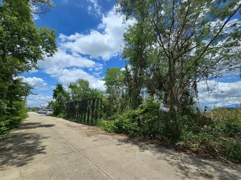 ที่ดินเปล่า 107 ตร.ว. ที่ดิน ใกล้มหาวิทยาลัยกรุงเทพธนบุรี ถนนทวีวัฒนา, กรุงเทพ, ถนนทวีวัฒนา, ทวีวัฒนา, กรุงเทพ, 428 ตร.ม., ที่ดิน ขาย, โดย คุณ ณัฐกานต์ ผดุงมาตรวรกุล (แก้ม), 500408387 - DDproperty.com