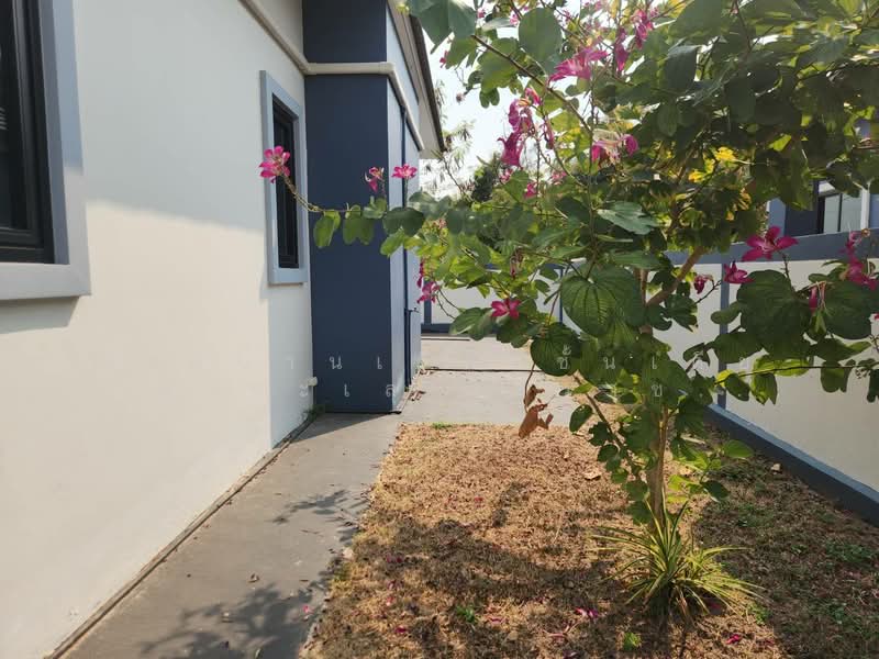 For Sale: SingleStorey Detached House in Hua Thale, Korat | 57 sq.w, Nakhon Ratchasima, Hua Thale, Muang Nakhon Ratchasima, Nakhon Ratchasima, 3 Bedrooms, 100 sqm, Single Detached House For Sale, by คุณเอ็มมี่, 500408572 - DDproperty.com