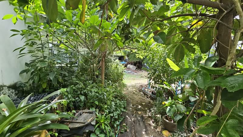 ที่ดินสุขุมวิท 39, กรุงเทพ, สุขุมวิท 39, คลองตัน, คลองเตย, กรุงเทพ, 1,344 ตร.ม., ที่ดิน ขาย, โดย อรรถพล อิศรางกูร ณ อยุธยา, 500408577 - DDproperty.com
