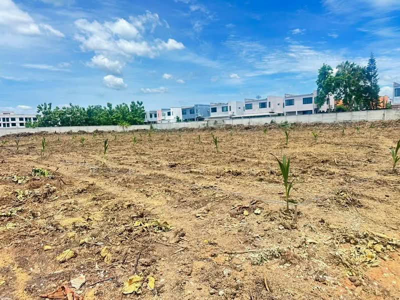 ขายที่ดินผังสีแดง 4 ไร่ ต.คลองใหม่ อ.สามพราน, นครปฐม, คลองใหม่, สามพราน, นครปฐม, 7,484 ตร.ม., ที่ดิน ขาย, โดย ERA Thailand, 500408642 - DDproperty.com