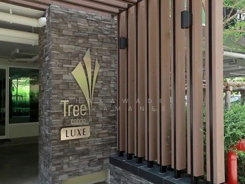 Tree Condo LUXE Sukhumvit 52, Bangkok, Soi Sukhumvit 52, Sukhumvit Road, Bang Chak, Phra Khanong, Bangkok, 1 Bedroom, 50 sqm, Condo For Rent, by Phakawadee Jiramanee, 500408765 - DDproperty.com
