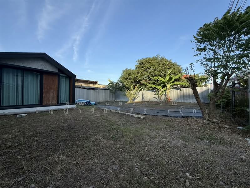ที่ดิน+บ้าน 1 ชั้น 60 ตร.ว. ซอยลำลูกกา41 ใกล้รถไฟฟ้าสถานีคูคต, ปทุมธานี, ถนนลำลูกกา, คูคต, ลำลูกกา, ปทุมธานี, 240 ตร.ม., ที่ดิน ขาย, โดย คุณ ฉัตรปวีณ์ ปัญญาชัยวิสิฐ (ปุ๊ก), 500408792 - DDproperty.com
