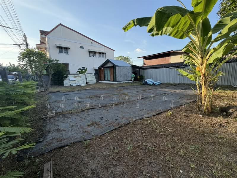 ที่ดิน+บ้าน 1 ชั้น 60 ตร.ว. ซอยลำลูกกา41 ใกล้รถไฟฟ้าสถานีคูคต, ปทุมธานี, ถนนลำลูกกา, คูคต, ลำลูกกา, ปทุมธานี, 240 ตร.ม., ที่ดิน ขาย, โดย คุณ ฉัตรปวีณ์ ปัญญาชัยวิสิฐ (ปุ๊ก), 500408792 - DDproperty.com