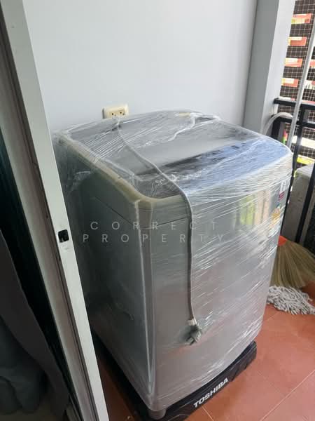 Regent Home 14 Sukhumvit 93, Bangkok, 21 Pueng Mee Intersection, Bang Chak, Phra Khanong, Bangkok, Studio, 31 sqm, Condo For Rent, by Correct Property, 500408911 - DDproperty.com