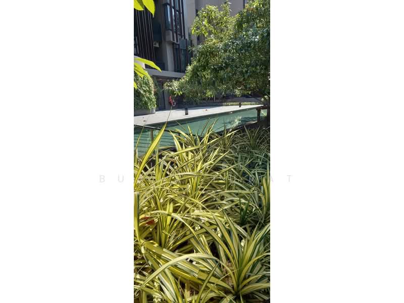 Jin Wellbeing County, Pathum Thani, 89 Moo 3, Khlong Nung, Khlong Luang, Pathum Thani, 1 Bedroom, 41 sqm, Condo For Rent, by Jakree Buajatturat, 500409001 - DDproperty.com