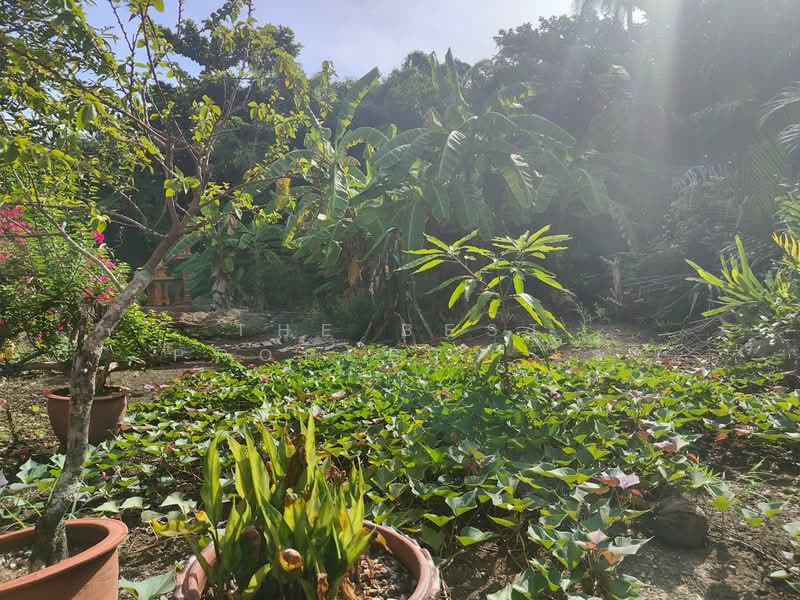 บ้านเดี่ยวพร้อมที่ดินลาดใหญ่ สมุทรสงคราม, Samut Songkhram, Lat Yai, Muang Samut Songkhram, Samut Songkhram, 2 Bedrooms, 150 sqm, Single Detached House For Sale, by The Best Property โจ้, 500409025 - DDproperty.com
