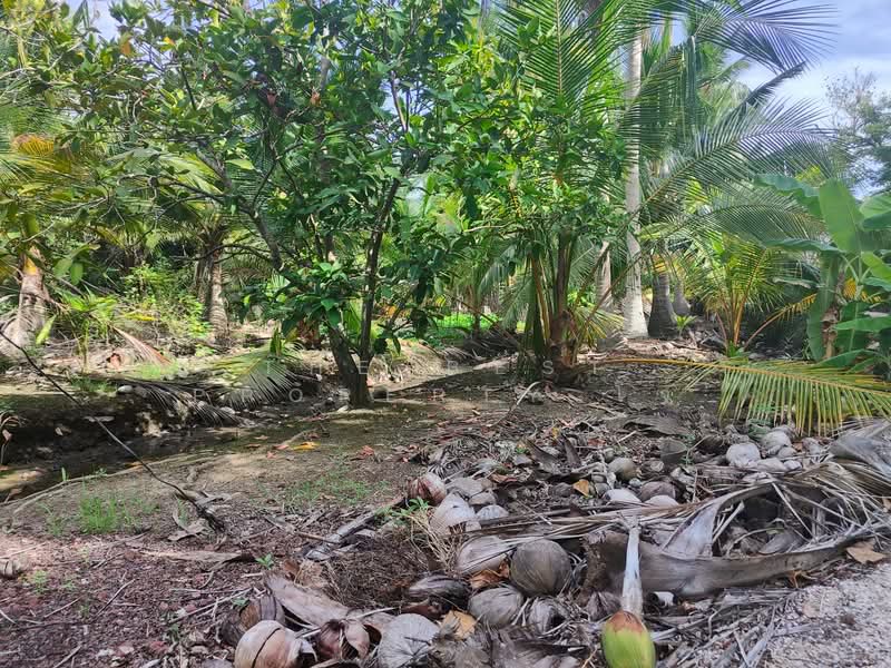 บ้านเดี่ยวพร้อมที่ดินลาดใหญ่ สมุทรสงคราม, Samut Songkhram, Lat Yai, Muang Samut Songkhram, Samut Songkhram, 2 Bedrooms, 150 sqm, Single Detached House For Sale, by The Best Property โจ้, 500409025 - DDproperty.com