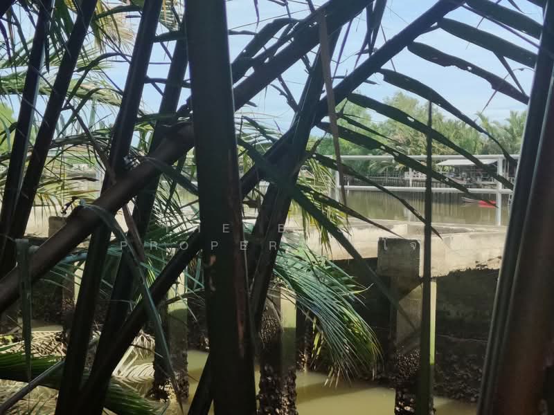 บ้านเดี่ยวพร้อมที่ดินลาดใหญ่ สมุทรสงคราม, Samut Songkhram, Lat Yai, Muang Samut Songkhram, Samut Songkhram, 2 Bedrooms, 150 sqm, Single Detached House For Sale, by The Best Property โจ้, 500409025 - DDproperty.com