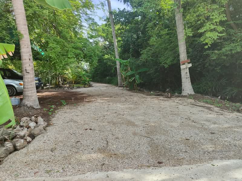 บ้านเดี่ยวพร้อมที่ดินลาดใหญ่ สมุทรสงคราม, Samut Songkhram, Lat Yai, Muang Samut Songkhram, Samut Songkhram, 2 Bedrooms, 150 sqm, Single Detached House For Sale, by The Best Property โจ้, 500409025 - DDproperty.com