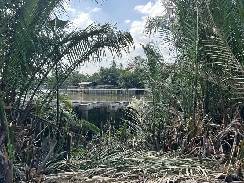 บ้านเดี่ยวพร้อมที่ดินลาดใหญ่ สมุทรสงคราม, Samut Songkhram, Lat Yai, Muang Samut Songkhram, Samut Songkhram, 2 Bedrooms, 150 sqm, Single Detached House For Sale, by The Best Property โจ้, 500409025 - DDproperty.com