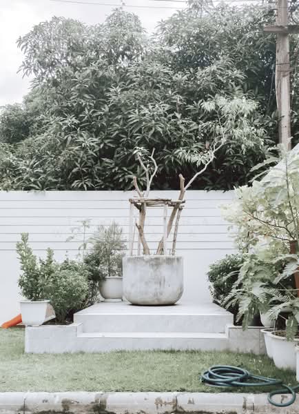 บ้านเดี่ยว งามวงศ์วาน 28, Bangkok, Thung Song Hong, Lak Si, Bangkok, 3 Bedrooms, 250 sqm, Single Detached House For Rent, by THONGCHAI WATCHANARUNGROT, 500409129 - DDproperty.com