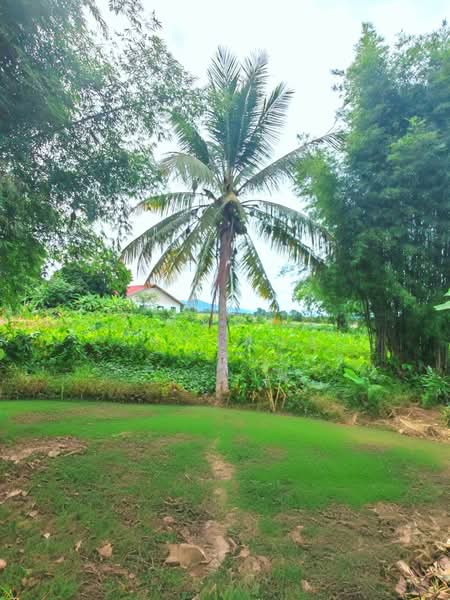 Land for Sale, Mae Tang, Cgiang Mai, Chiang Mai, Intakhin, Mae Taeng, Chiang Mai, , 1,156 sqm, Land For Sale, by ณิทษา โฆวาสินธุ์, 500409253 - DDproperty.com
