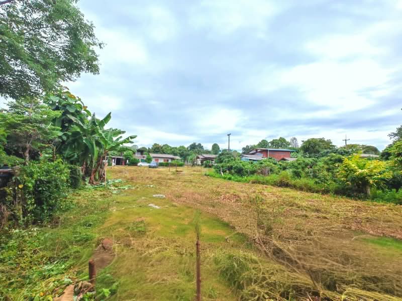 Land for Sale, Mae Tang, Cgiang Mai, Chiang Mai, Intakhin, Mae Taeng, Chiang Mai, , 1,156 sqm, Land For Sale, by ณิทษา โฆวาสินธุ์, 500409253 - DDproperty.com