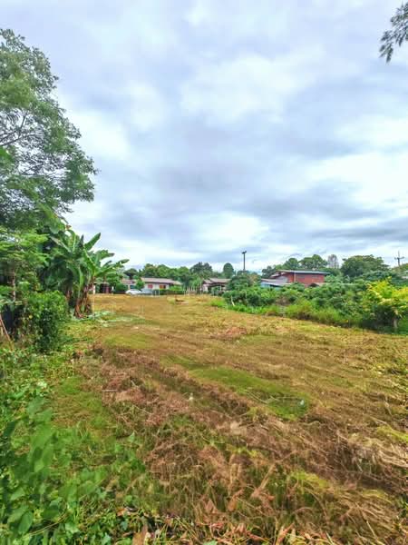 Land for Sale, Mae Tang, Cgiang Mai, Chiang Mai, Intakhin, Mae Taeng, Chiang Mai, , 1,156 sqm, Land For Sale, by ณิทษา โฆวาสินธุ์, 500409253 - DDproperty.com