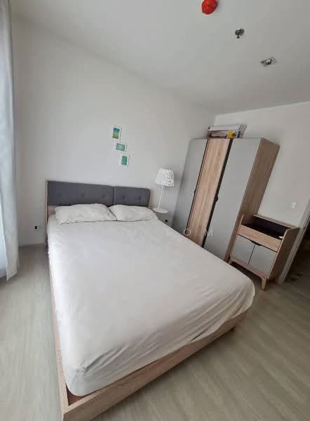 Life Sukhumvit 48, Bangkok, Soi Sukhumvit 48, Phra Kanong, Khlong Toei, Bangkok, 1 Bedroom, 30 sqm, Condo For Rent, by TOM TOM, 500409315 - DDproperty.com