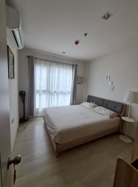Life Sukhumvit 48, Bangkok, Soi Sukhumvit 48, Phra Kanong, Khlong Toei, Bangkok, 1 Bedroom, 30 sqm, Condo For Rent, by TOM TOM, 500409315 - DDproperty.com