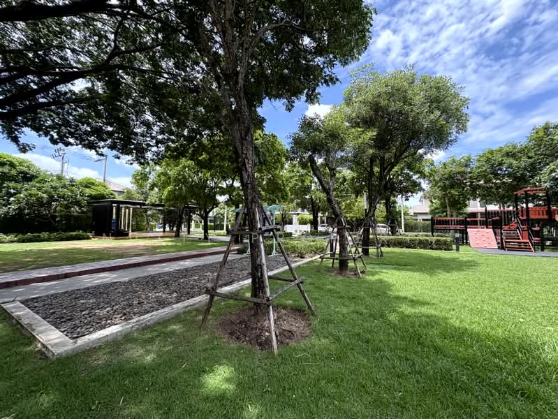 Centro Bangna Km.7 : เซนโทร บางนา กม.7, สมุทรปราการ, ถนนบัวนครินทร์, บางแก้ว, บางพลี, สมุทรปราการ, 175 ตร.ม., บ้านเดี่ยว ให้เช่า, โดย Nutty Property, 500409331 - DDproperty.com