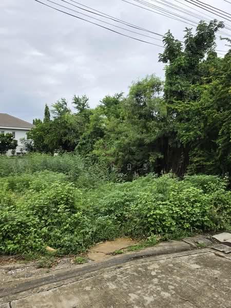 ที่ดิน ซอย นวมินทร์ 74 แยก 1-9-4, Bangkok, Khlong Kum, Bueng Kum, Bangkok, , 398 sqm, Land For Sale, by Khun Pro, 500409374 - DDproperty.com
