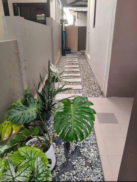 ให้เช่าบ้านเดี่ยว เลี้ยงสัตว์ได้ ใกล้เซ็นทรัล ระยอง, Rayong, Choeng Noen, Muang Rayong, Rayong, 3 Bedrooms, 160 sqm, Single Detached House For Rent, by Dusit Saengfa, 500409375 - DDproperty.com