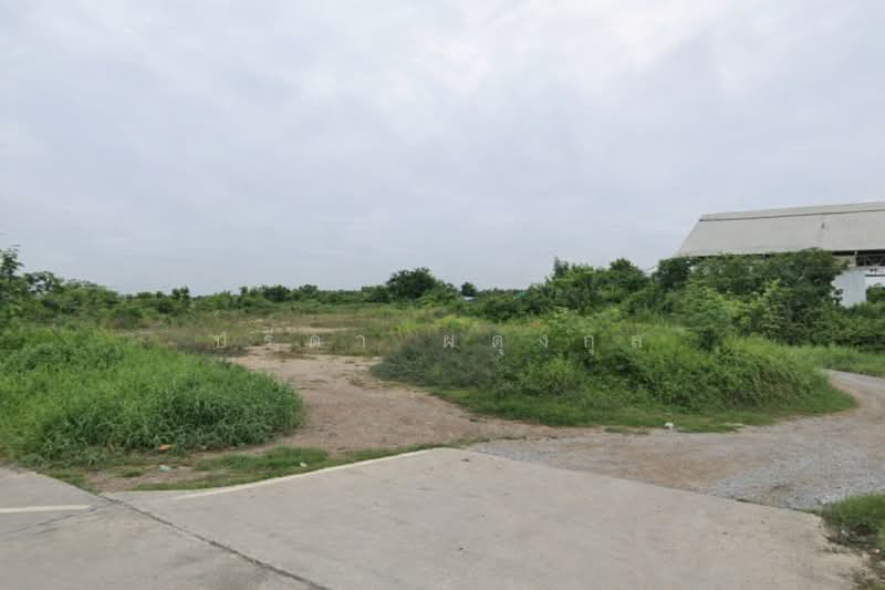 บางคล้า, Chachoengsao, 304, Samet Nua, Bang Khla, Chachoengsao, , 4,800 sqm, Land For Sale, by ปรีดา ผดุงกุล, 500409385 - DDproperty.com