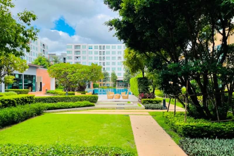 Dcondo Nim, Chiang Mai, 239 Hwy Chiang Mai-Lampang Frontage Road, Fa Ham, Muang Chiang Mai, Chiang Mai, 2 Bedrooms, 60 sqm, Condo For Rent, by Wenyu Zhou, 500409417 - DDproperty.com