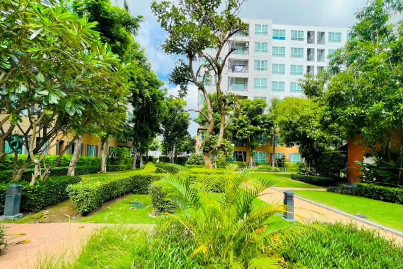 Dcondo Nim, Chiang Mai, 239 Hwy Chiang Mai-Lampang Frontage Road, Fa Ham, Muang Chiang Mai, Chiang Mai, 1 Bedroom, 37 sqm, Condo For Rent, by Wenyu Zhou, 500409426 - DDproperty.com