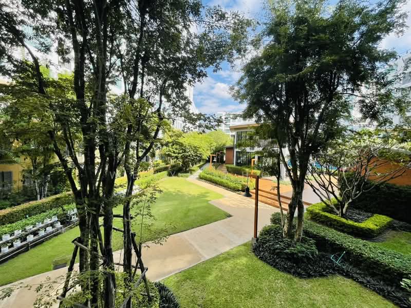 Dcondo Nim, Chiang Mai, 239 Hwy Chiang Mai-Lampang Frontage Road, Fa Ham, Muang Chiang Mai, Chiang Mai, 1 Bedroom, 37 sqm, Condo For Rent, by Wenyu Zhou, 500409426 - DDproperty.com