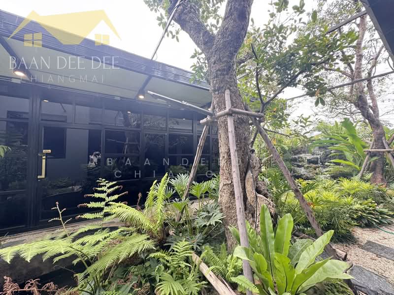 Commercial building for rent near Meechok Plaza, Chiang Mai Rental Price: 50,000 THB /month No.5H591, Chiang Mai, Nong Chom, San Sai, Chiang Mai, , 205 sqm, Shophouse For Rent, by Baandeedee Chiangmai, 500409434 - DDproperty.com