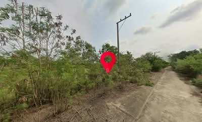 ขาย - ที่ดินหนองเสือ ปทุมธานี, ปทุมธานี