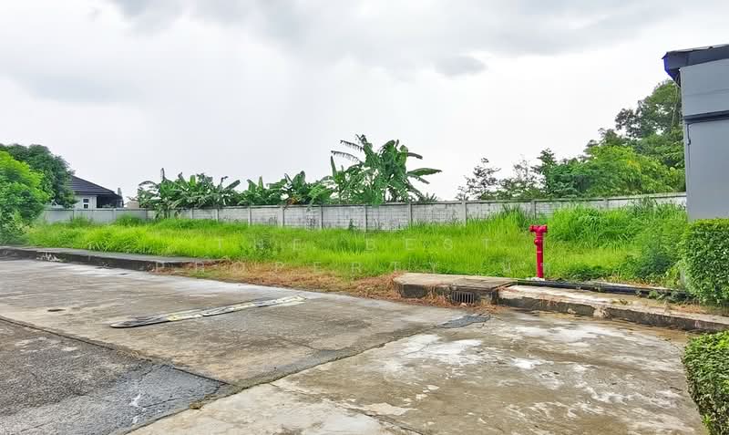 ที่ดินปากนคร นครศรีธรรมราช, Nakhon Si Thammarat, Pak Nakhon, Muang Nakhon Sri Thammarat, Nakhon Si Thammarat, , 540 sqm, Land For Sale, by The Best Property นัท, 500409520 - DDproperty.com