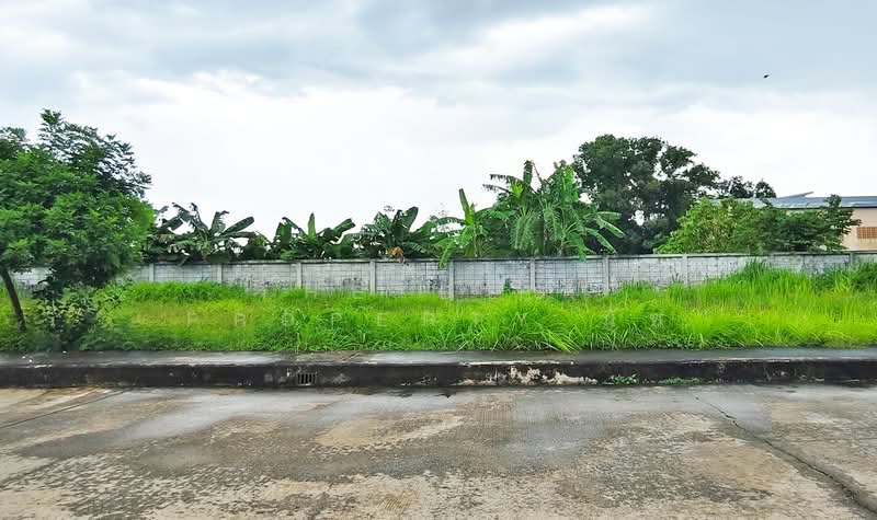 ที่ดินปากนคร นครศรีธรรมราช, Nakhon Si Thammarat, Pak Nakhon, Muang Nakhon Sri Thammarat, Nakhon Si Thammarat, , 540 sqm, Land For Sale, by The Best Property นัท, 500409520 - DDproperty.com