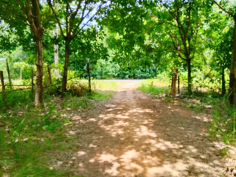 ที่ดินจอมพระ สุรินทร์, Surin, Muang Ling, Chom Phra, Surin, , 12,572 sqm, Land For Sale, by The Best Property ต้อม, 500409583 - DDproperty.com