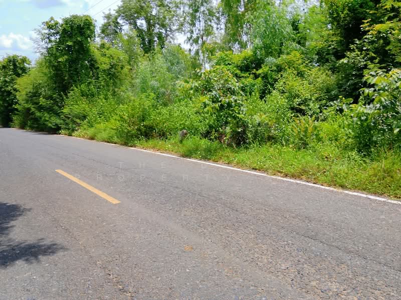 ที่ดินจอมพระ สุรินทร์, Surin, Muang Ling, Chom Phra, Surin, , 12,572 sqm, Land For Sale, by The Best Property ต้อม, 500409583 - DDproperty.com