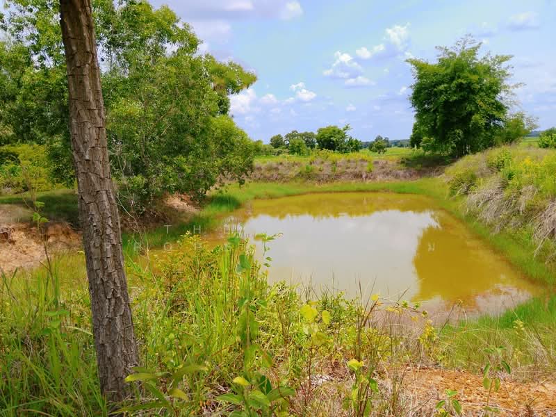 ที่ดินจอมพระ สุรินทร์, Surin, Muang Ling, Chom Phra, Surin, , 12,572 sqm, Land For Sale, by The Best Property ต้อม, 500409583 - DDproperty.com