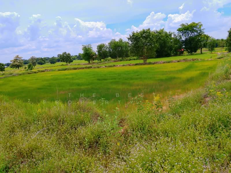 ที่ดินจอมพระ สุรินทร์, Surin, Muang Ling, Chom Phra, Surin, , 12,572 sqm, Land For Sale, by The Best Property ต้อม, 500409583 - DDproperty.com