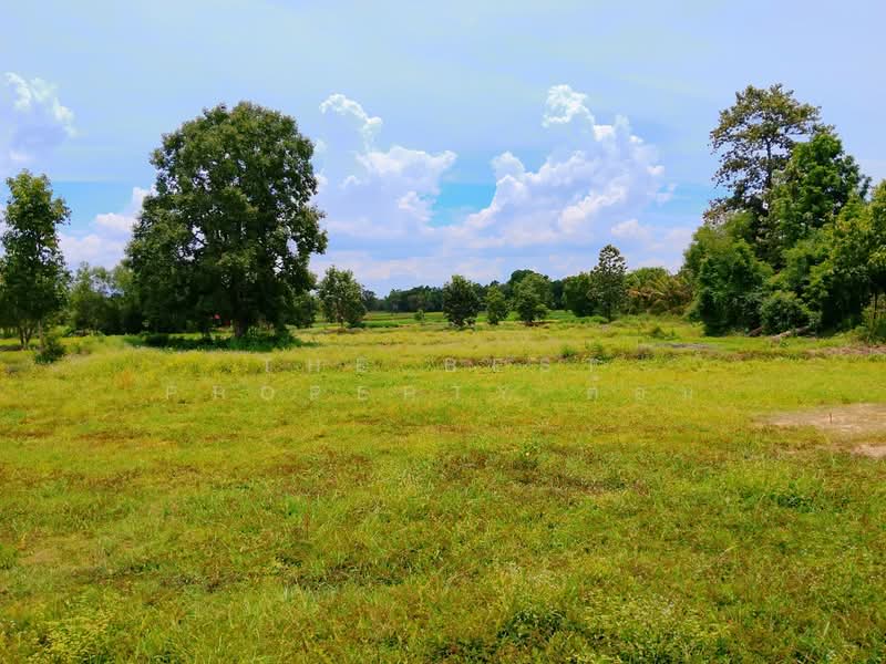 ที่ดินจอมพระ สุรินทร์, Surin, Muang Ling, Chom Phra, Surin, , 12,572 sqm, Land For Sale, by The Best Property ต้อม, 500409583 - DDproperty.com