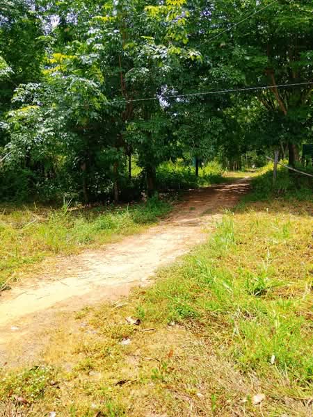 ที่ดินจอมพระ สุรินทร์, สุรินทร์, เมืองลีง, จอมพระ, สุรินทร์, 12,572 ตร.ม., ที่ดิน ขาย, โดย The Best Property ต้อม, 500409583 - DDproperty.com