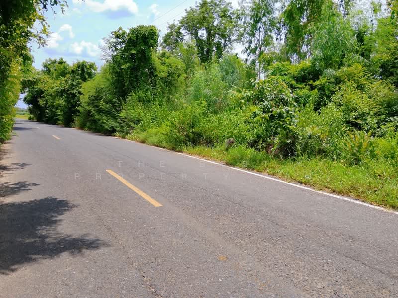 ที่ดินจอมพระ สุรินทร์, สุรินทร์, เมืองลีง, จอมพระ, สุรินทร์, 12,572 ตร.ม., ที่ดิน ขาย, โดย The Best Property ต้อม, 500409583 - DDproperty.com