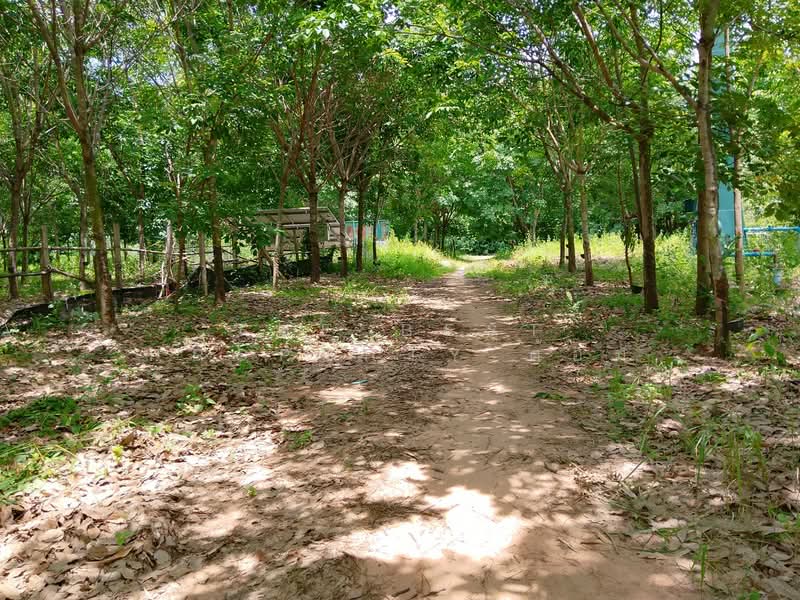 ที่ดินจอมพระ สุรินทร์, Surin, Muang Ling, Chom Phra, Surin, , 12,572 sqm, Land For Sale, by The Best Property ต้อม, 500409583 - DDproperty.com